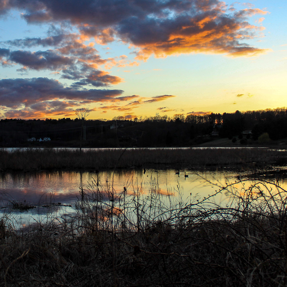 boxford massachusetts milestone financial planning