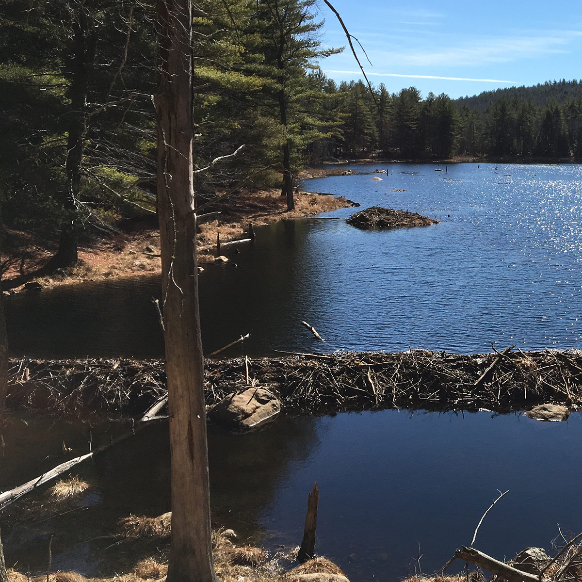 merrimack new hampshire milestone financial planning