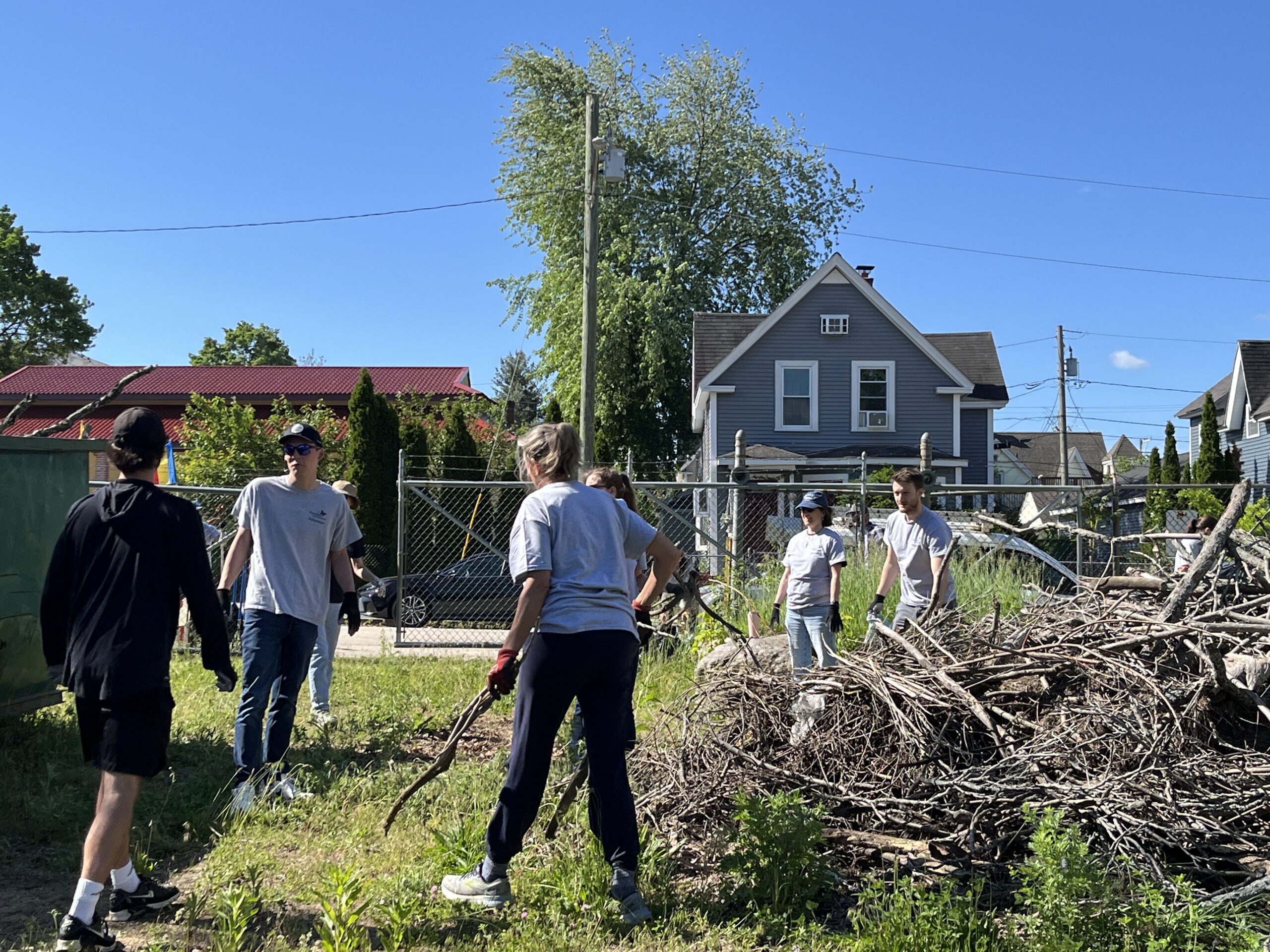 Group with Brush Pile