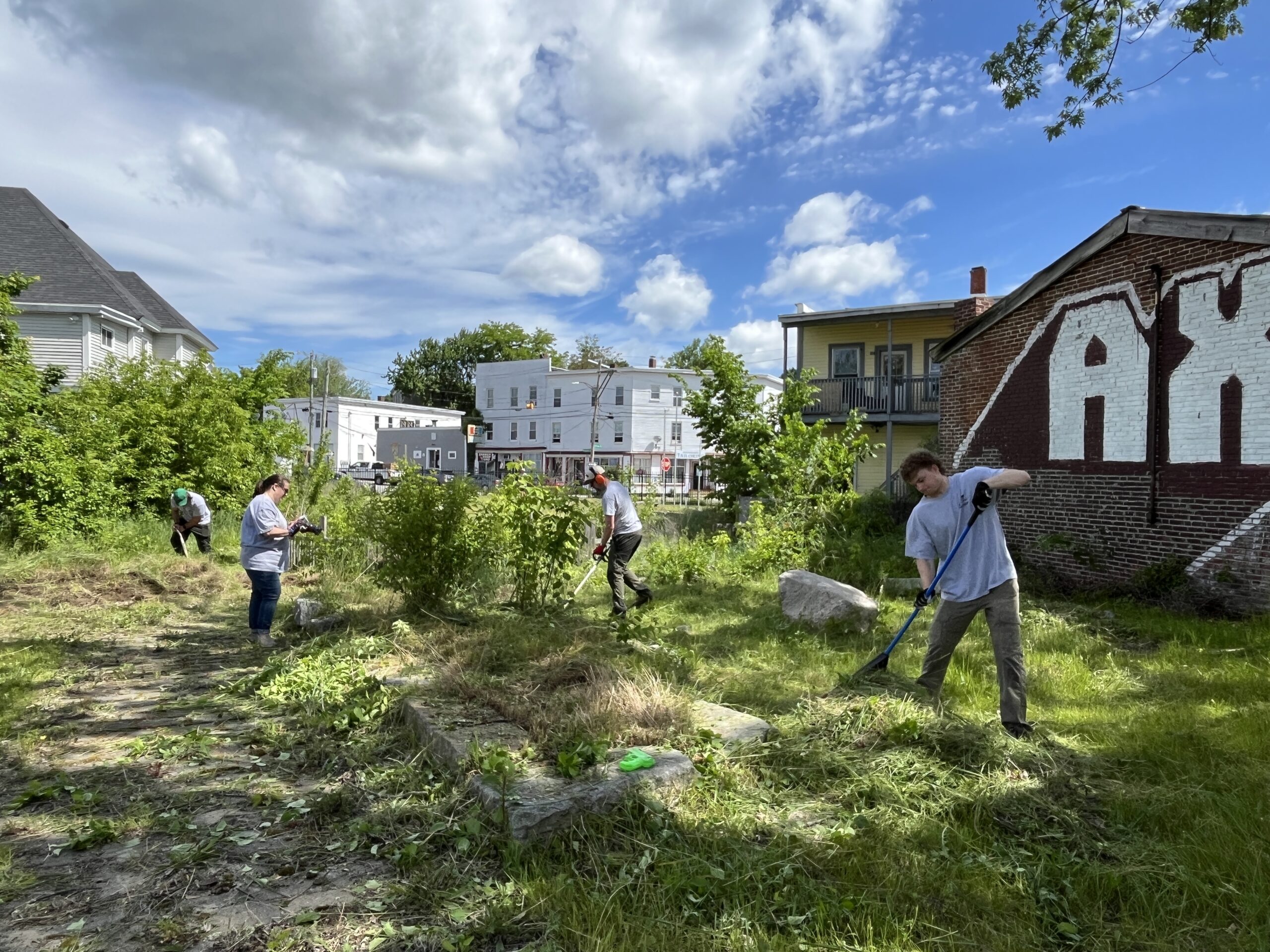 Raking and Weed Whacking